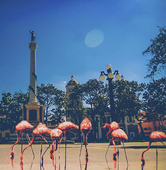 Fotografía: Saúl Zerpa